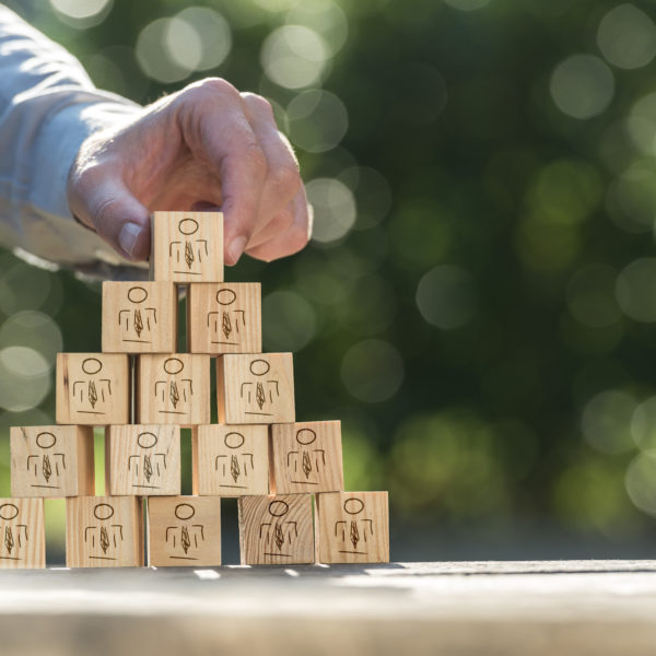 Business Transformation Hierarchie – Markus Hotz